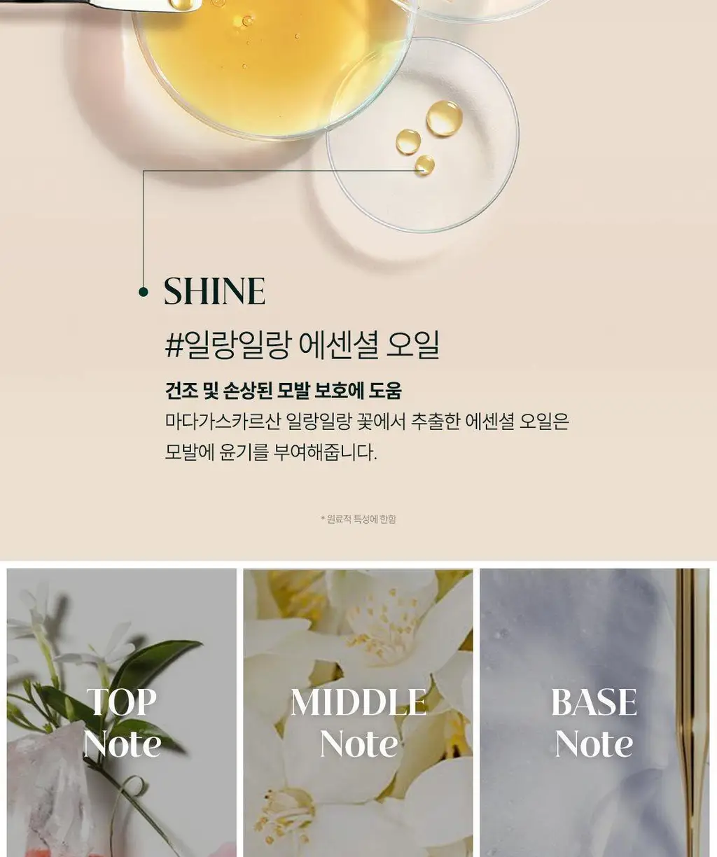 [손상모에센스] 르네휘테르 까리떼 프로페셔널 에센스 100ml (듀오/단품) 상세페이지 16